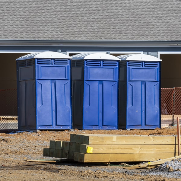 how can i report damages or issues with the porta potties during my rental period in Peters